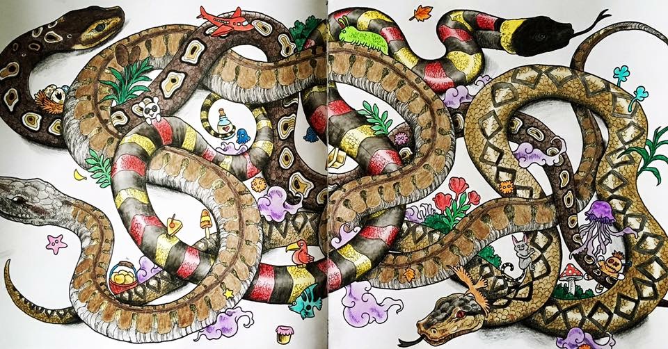 Vybarvené omalovánky Proměny zvířat