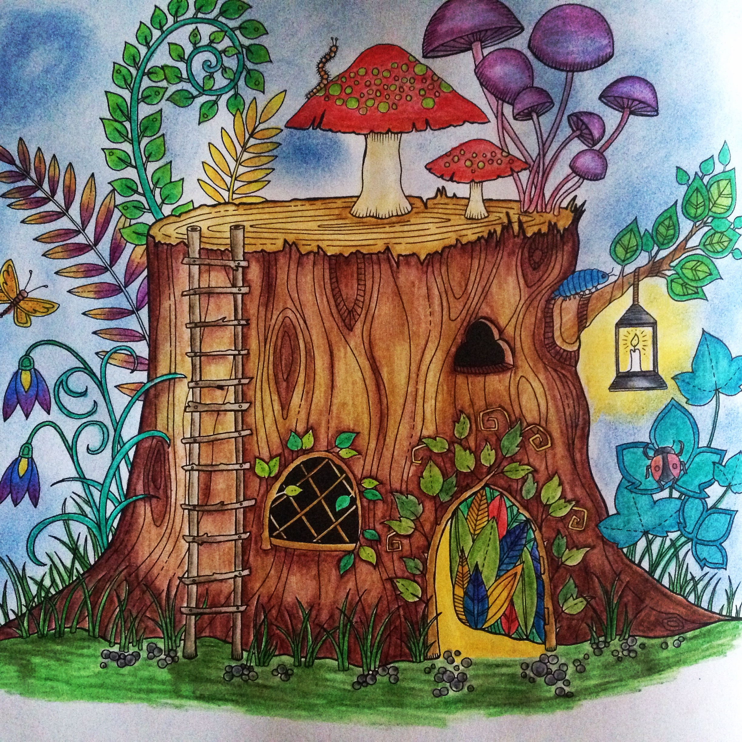 Když jdou broučci spát Soutěžte s omalovánkami Grada