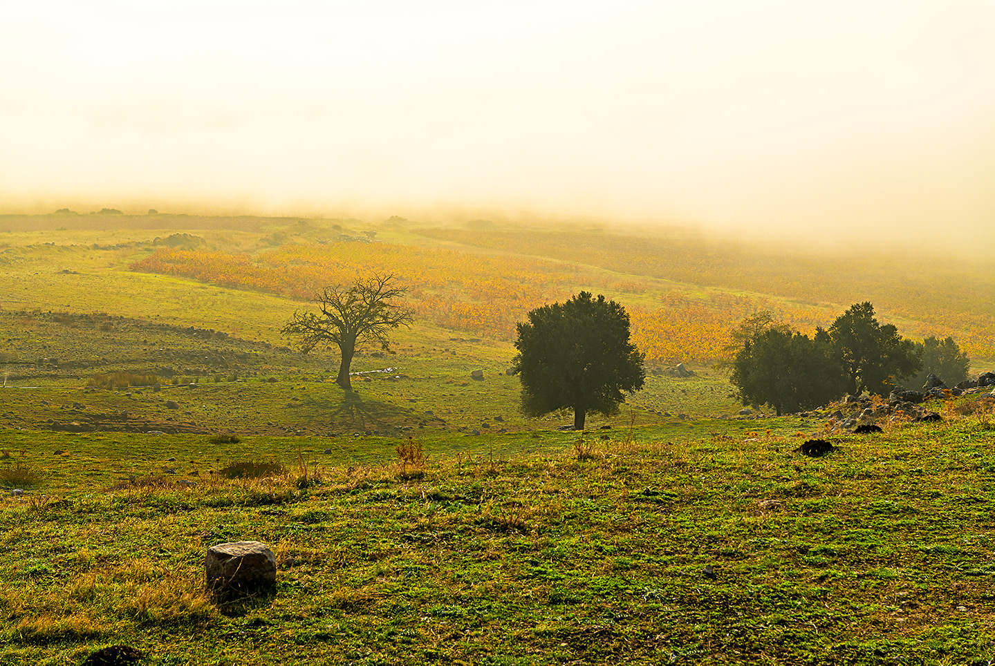 Nature photography by Omar Frangieh
