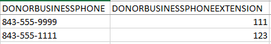 Manually combine the Business Phone & Business Phone Extension columns in Excel