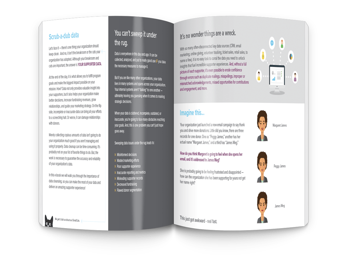 The Ultimate Guide to Data Cleansing for Nonprofits