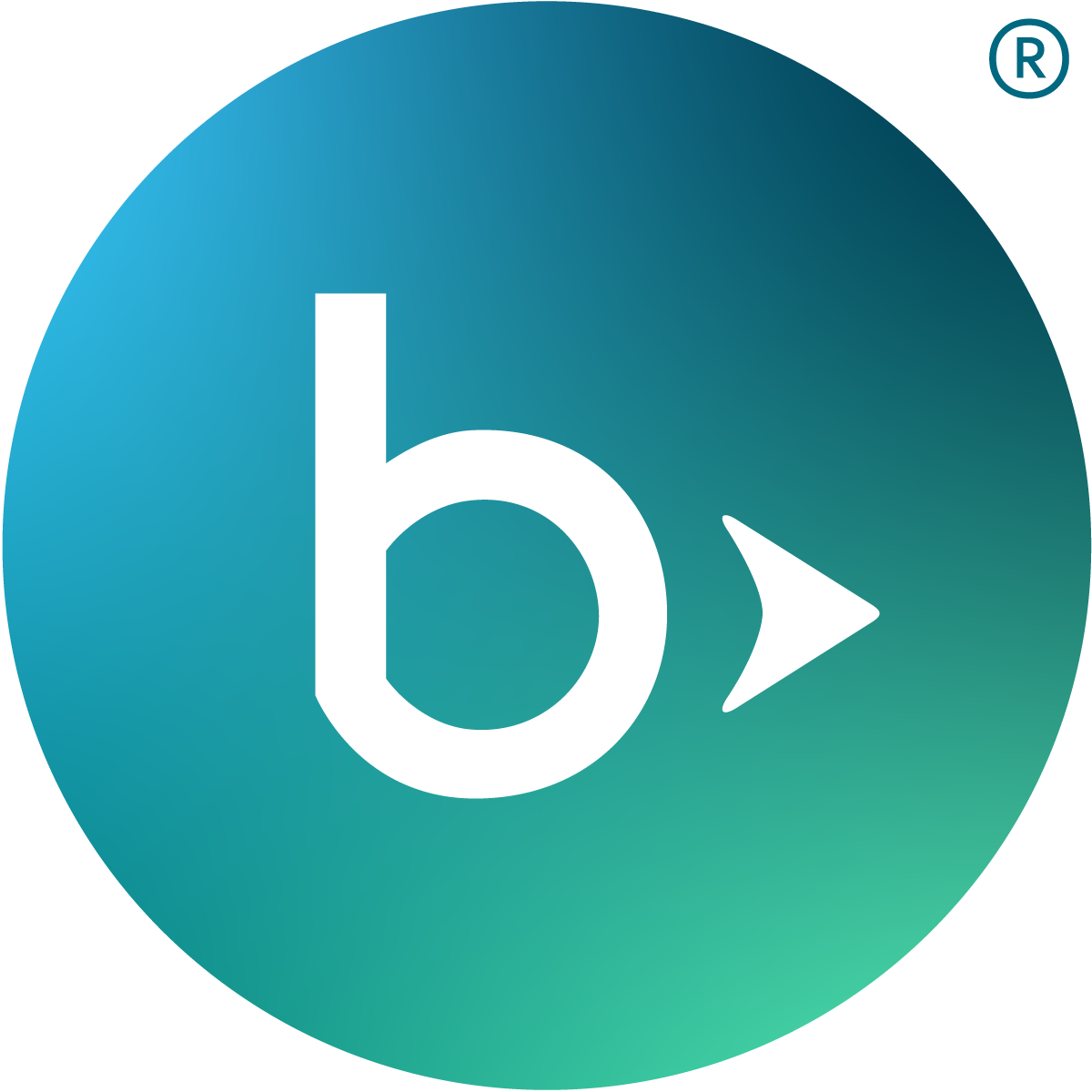Blackbaud Enterprise Fundraising CRM