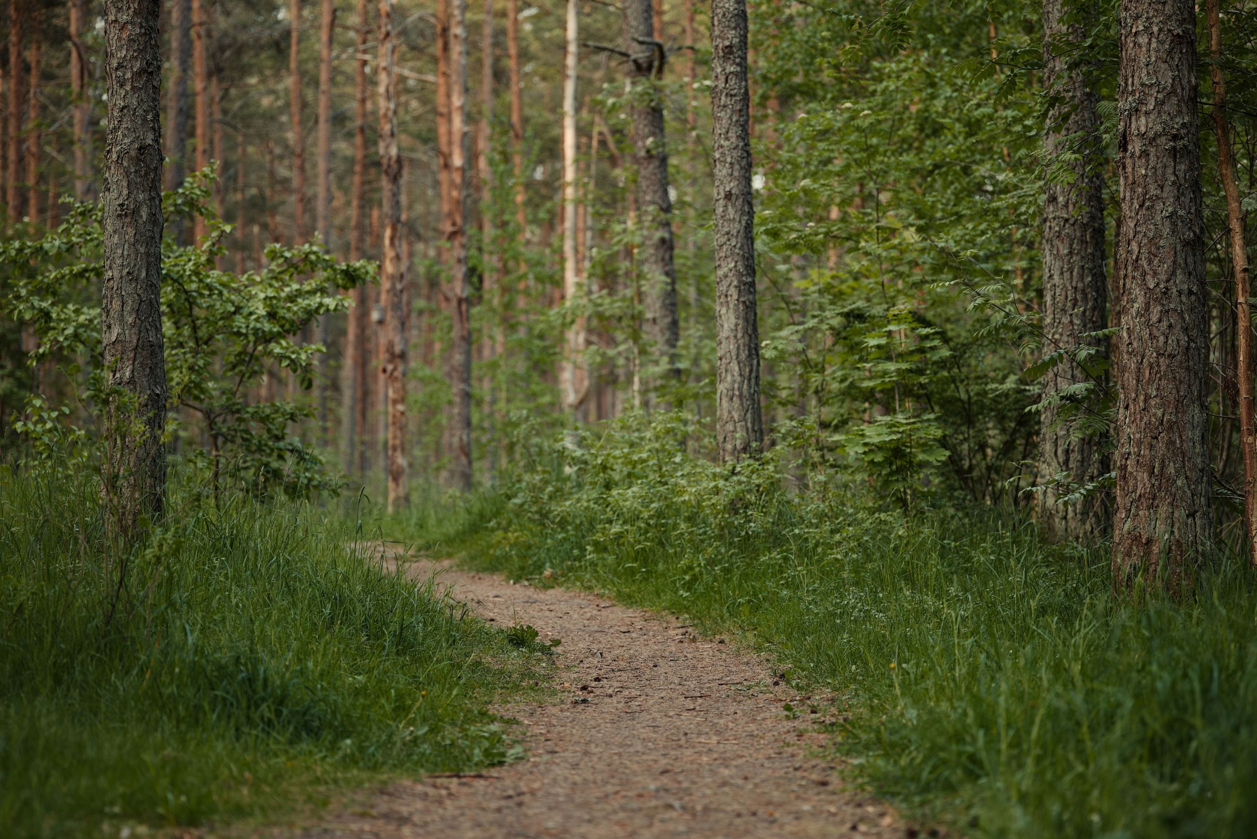 From Database View to Unified View: Navigating Changes to Raiser’s Edge NXT at bbcon 2026