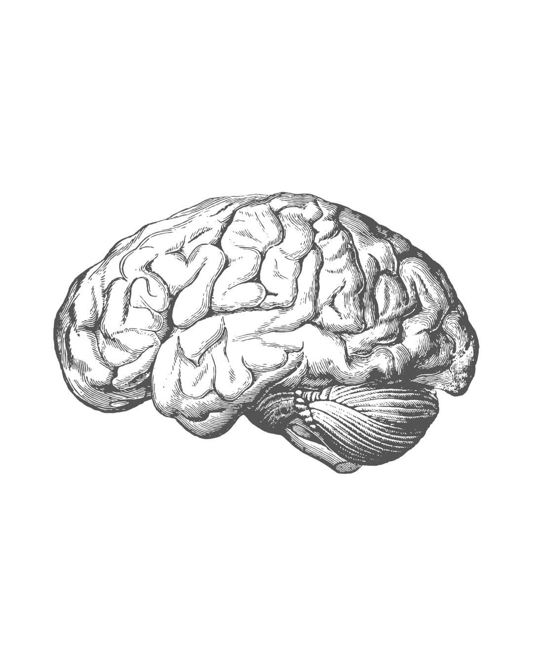 sketch of second brain