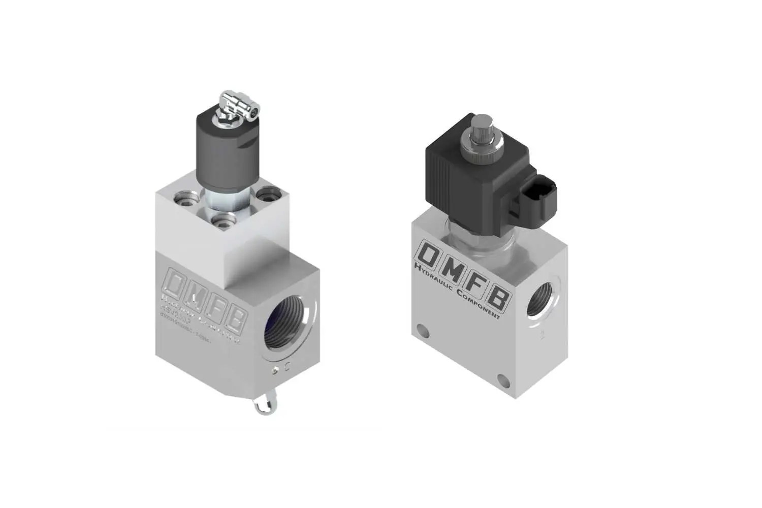 Hoist Safety Valves