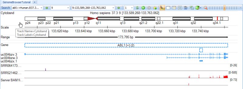 Create Genome Browser Omicsoft Doc - Premium Ocean Picture - HD