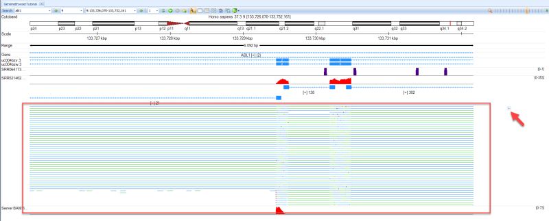 Browsing Data Omicsoft Doc - City Wallpapers - Artistic HD Collection