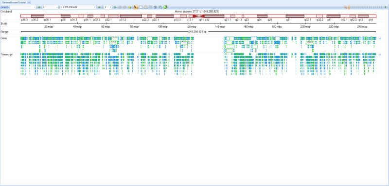 Create Genome Browser Omicsoft Doc - Retina Dark Designs for Desktop