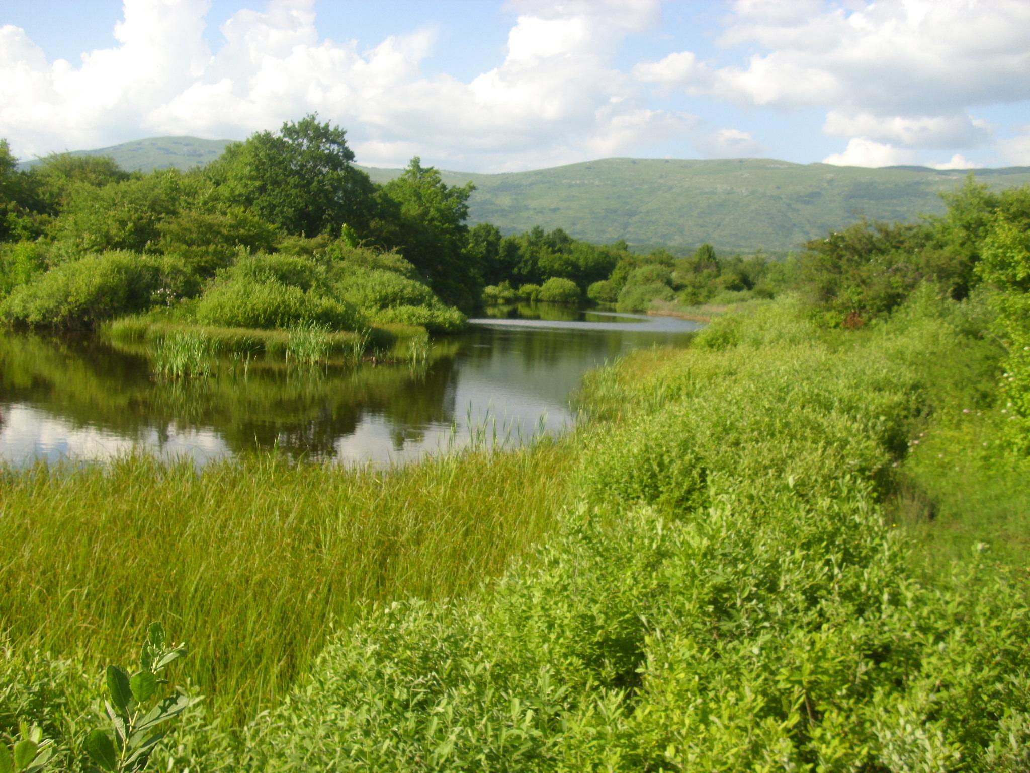 Druženje, jun 2013.