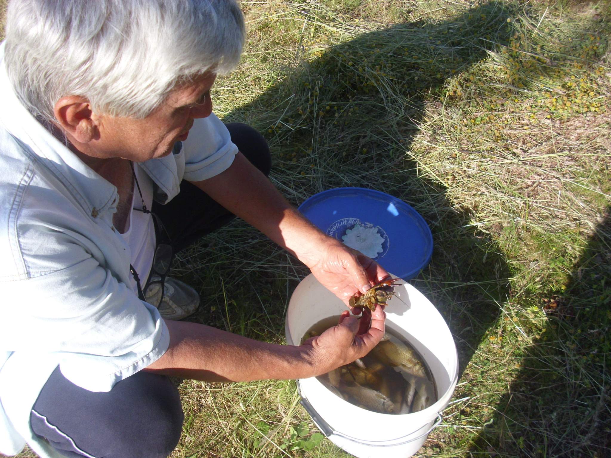 Druženje, jun 2013.