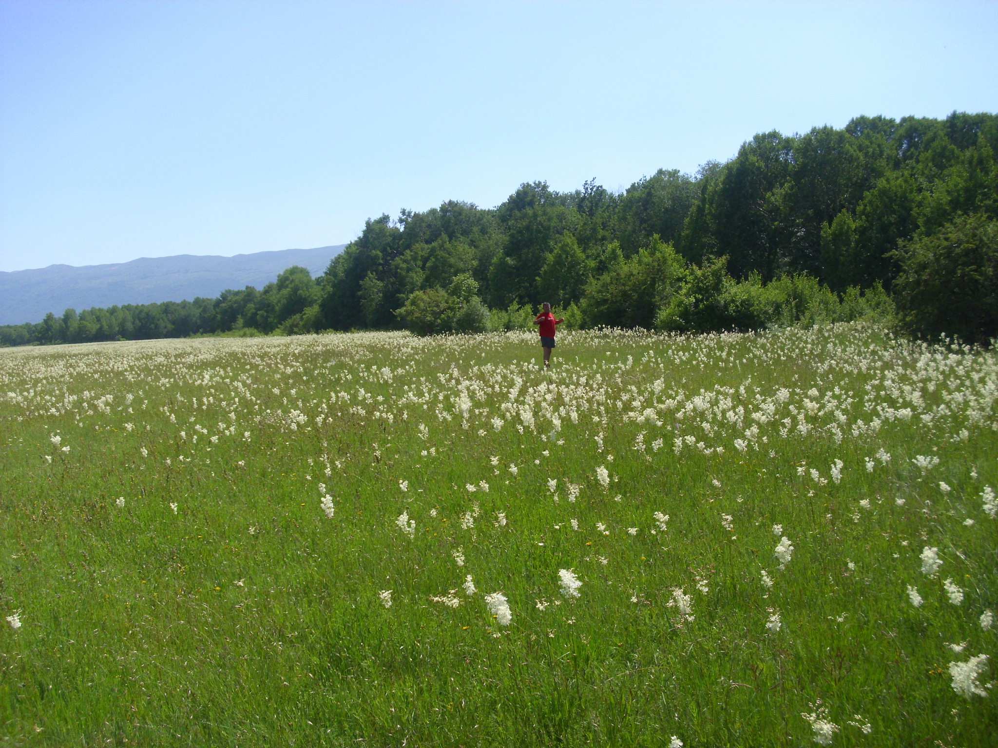 Druženje, jun 2013.