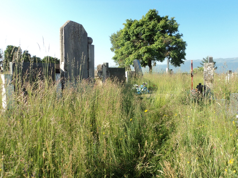 Pravoslani deo seoskog groblja pre uređenja, jun 2013.