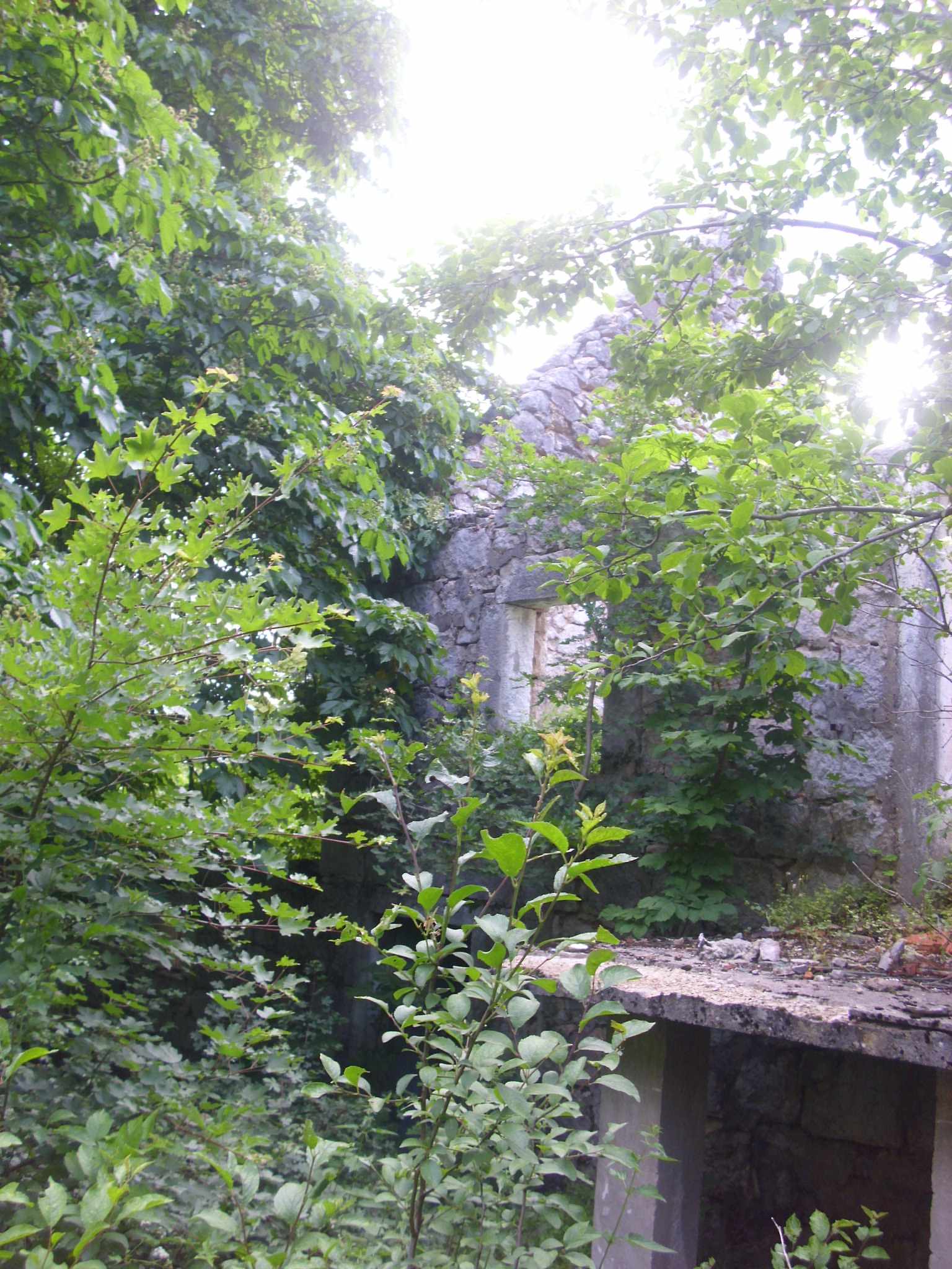 Srpske kuće u Čelebiću, jun 2013.