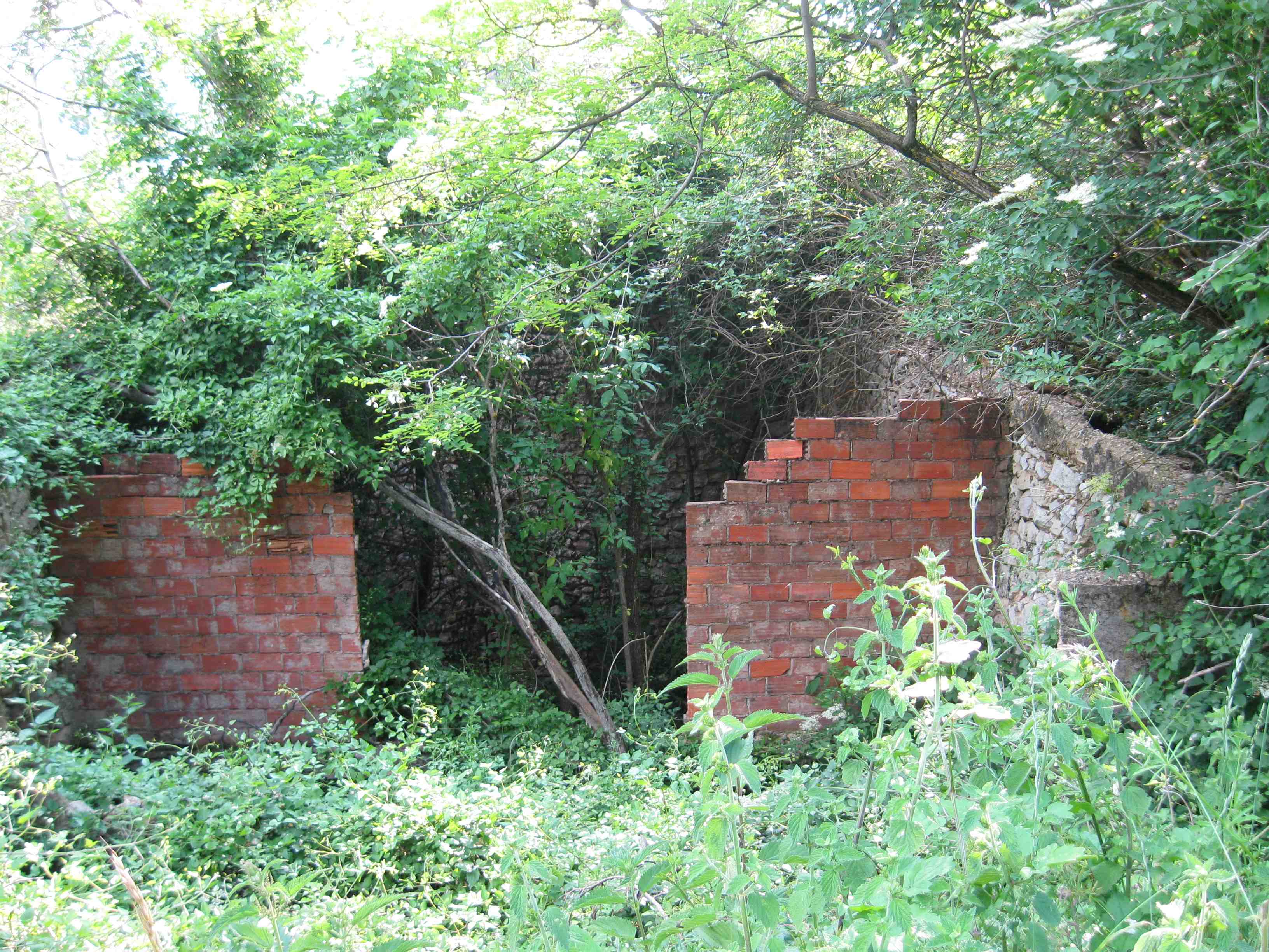 Srpske kuće u Čelebiću, jun 2013.