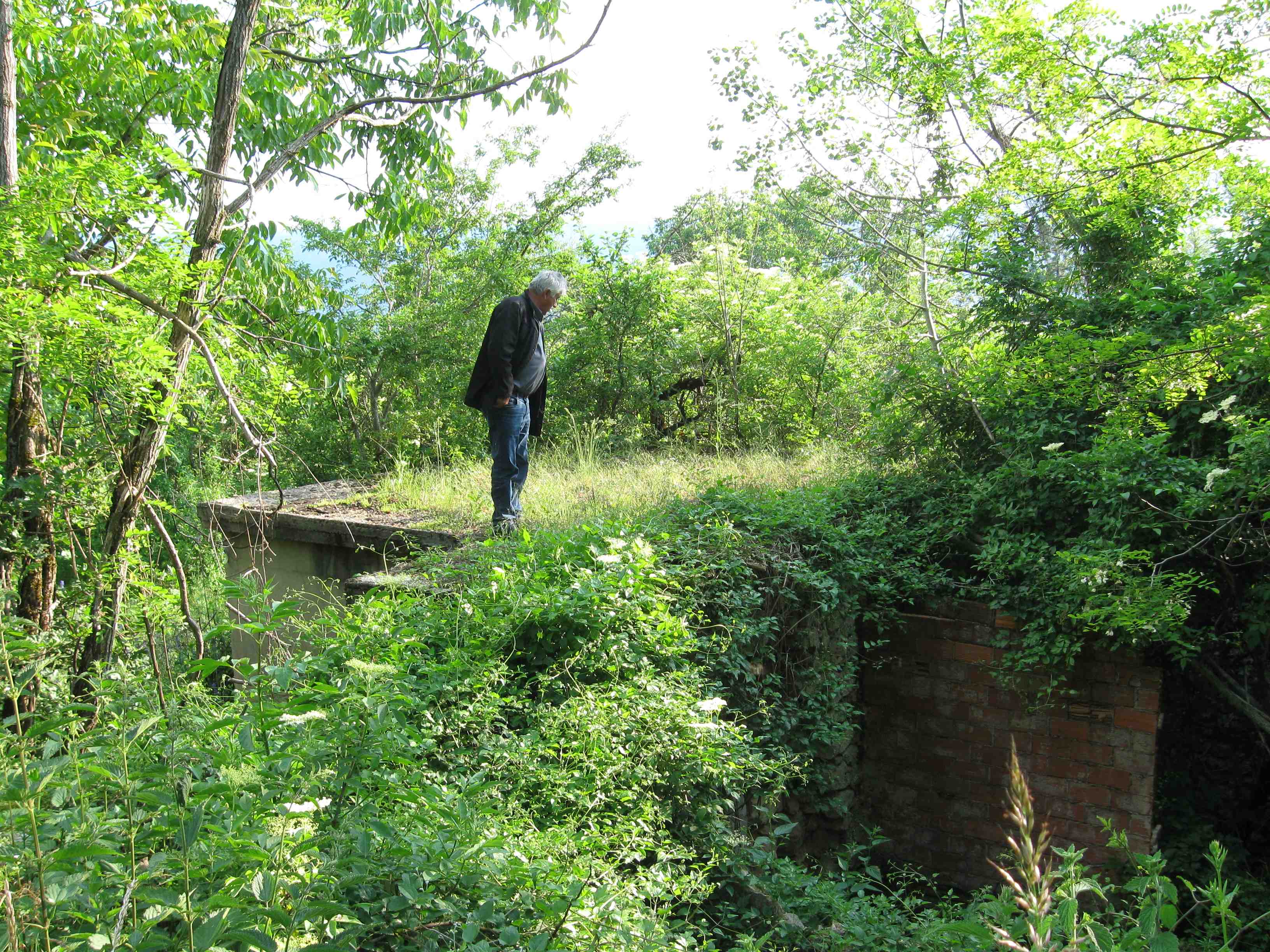 Srpske kuće u Čelebiću, jun 2013.