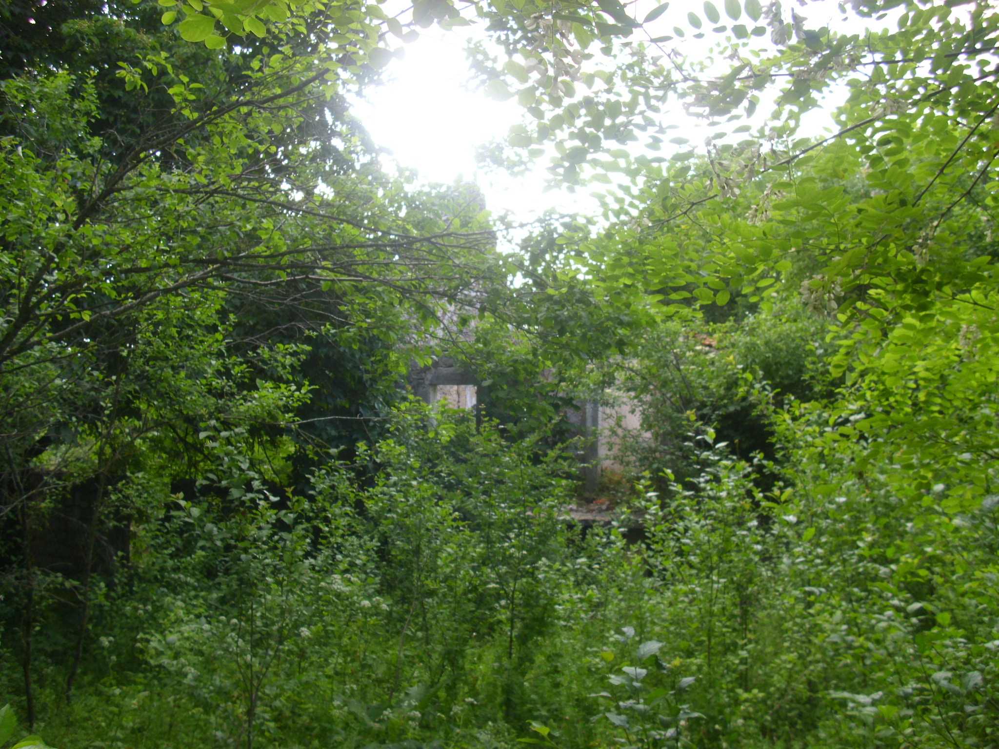 Srpske kuće u Čelebiću, jun 2013.