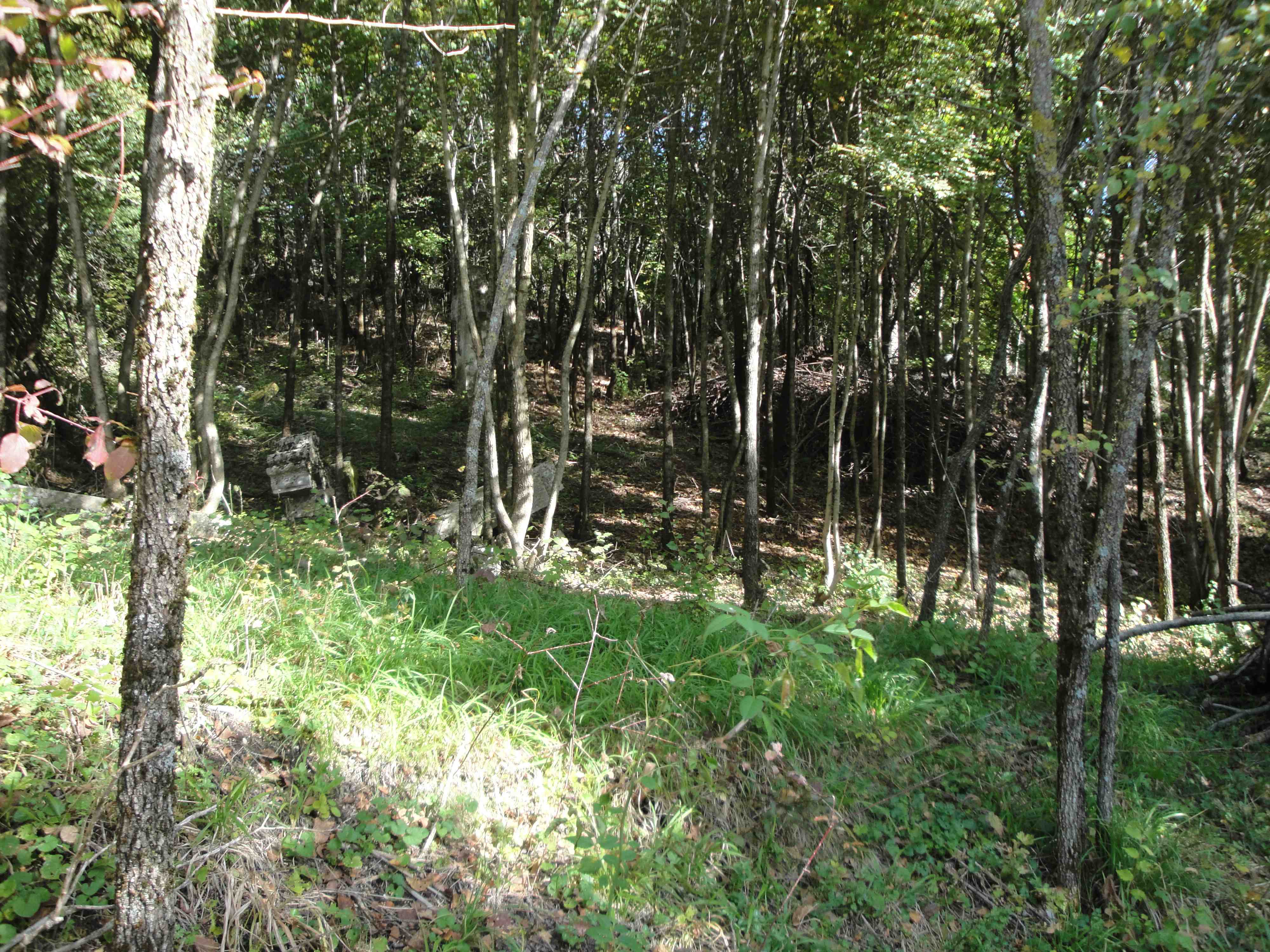 Поглед на гробље након крчења