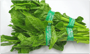 41+ Beautiful Sayur Bayam - Spinach â One Of The Healthiest Vegetables In The World / Resep sayur bening bayam · 1.