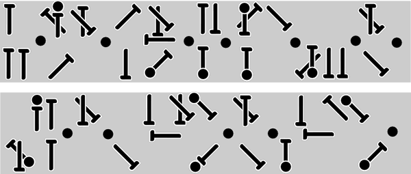 Nail Script Nail Script