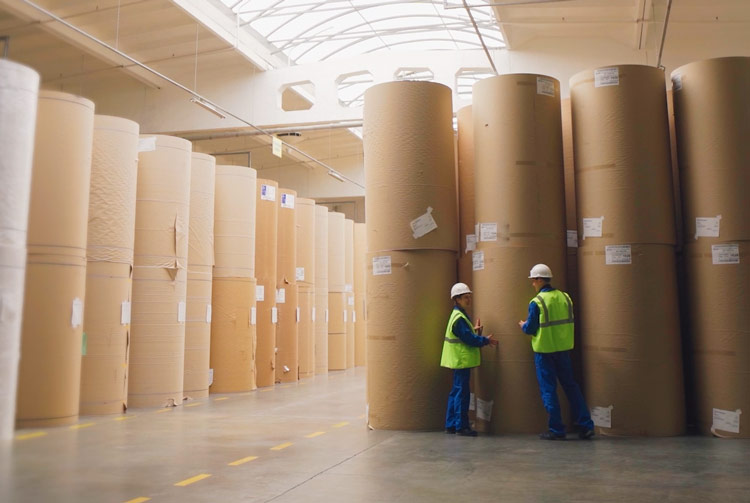 Supplychain Sustainability Environment Streamlinedoperations - Premium Minimal Design Gallery - Retina