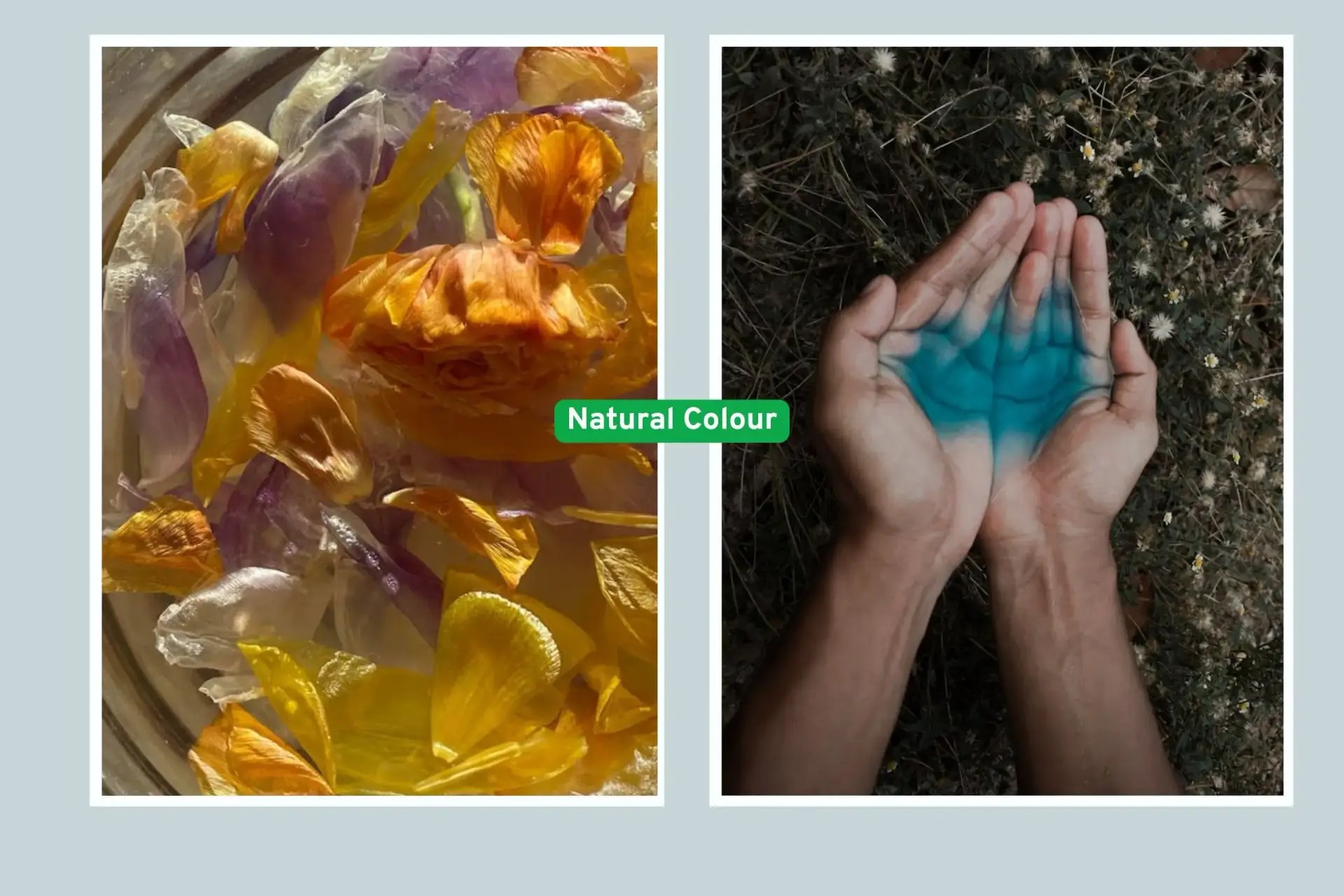 a collage of natural colour