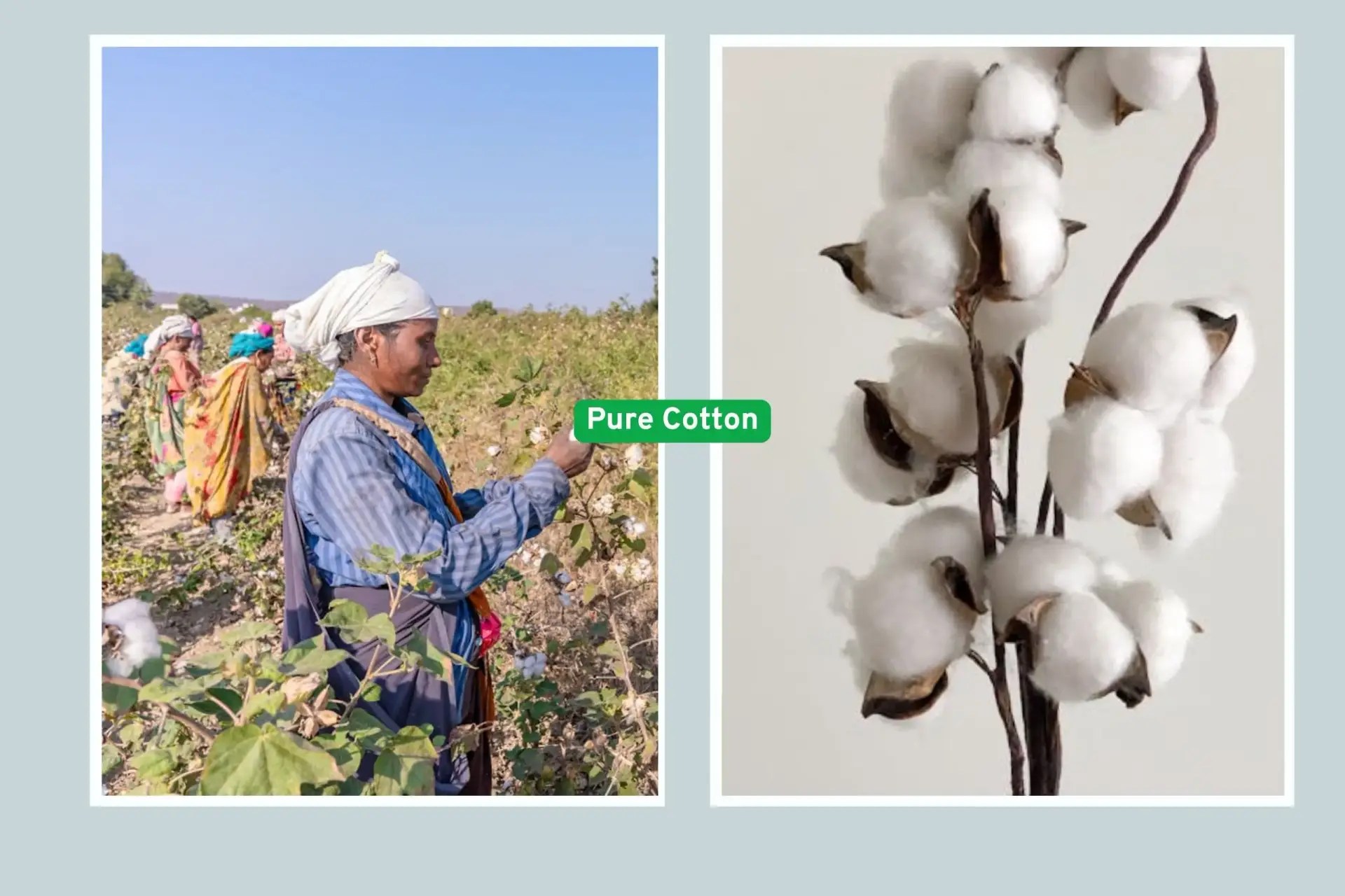 a collage of cotton naturals