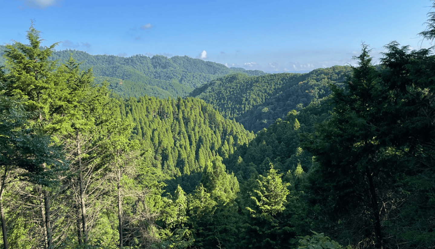 Hikes in Japan: The Mt. Kusato Trail (草戸山) – On Walkabout