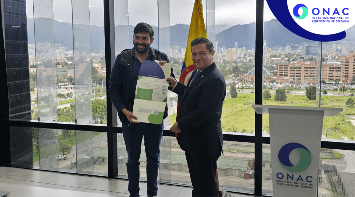 iplomas 3 - 13