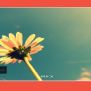12+ Cool Pure CSS Image Slider - OnAirCode