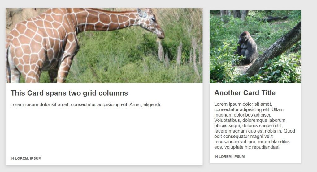 23+ CSS Card Layout Examples with Code Snippets OnAirCode