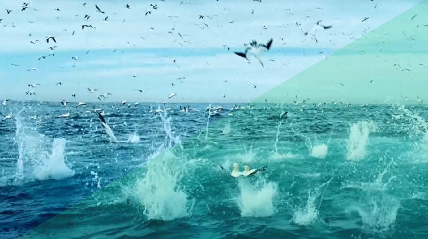 Bootstrap 4 Web Example 