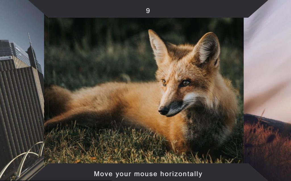 Amazing JavaScript JS carousel slider