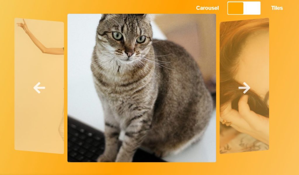 Gallery viewer JavaScript JS carousel slider