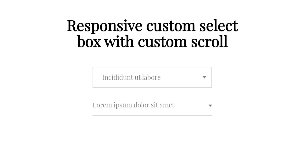 20+ JavaScript Dropdown Select Box Examples - OnAirCode