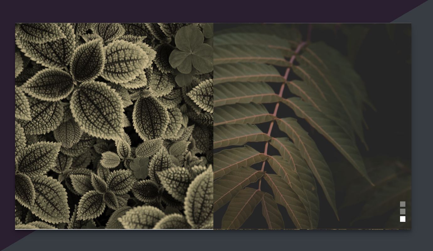 25+ JavaScript Slider Code Examples OnAirCode