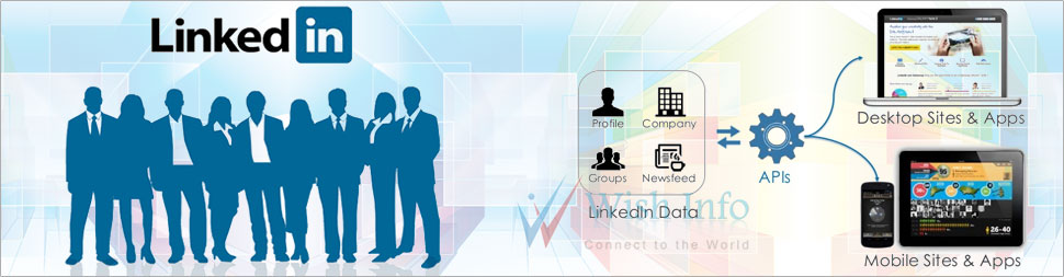 linkedin API Developers