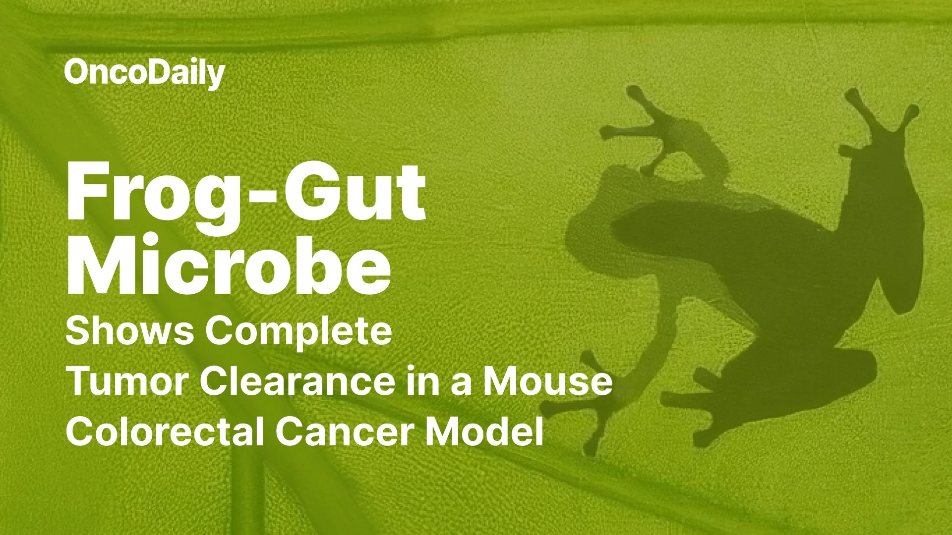 Frog-Gut Bacteria: A Potential Cancer Treatment? | Colorectal Cancer Breakthrough (2026)