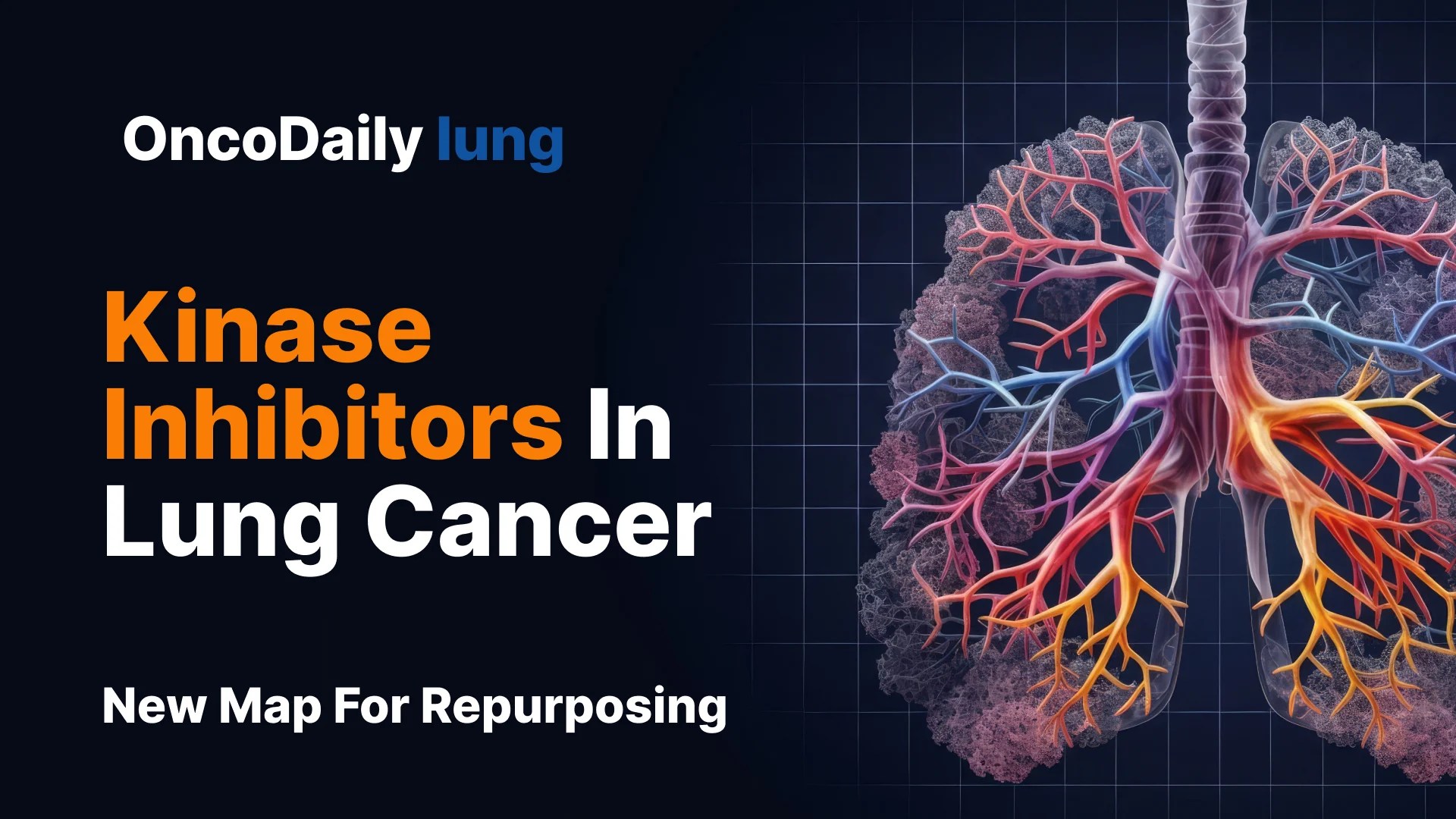 KIRHub Opens A New Repurposing Map For Kinase Inhibitors In Lung Cancer IMG 4881.webp