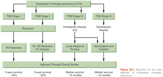 Repopulating The Biliary Tree From The Peribiliary Glands Sciencedirect