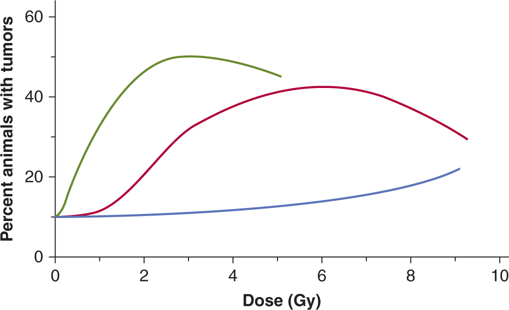 Tumor and Normal Tissue Response to Radiotherapy | Oncohema Key