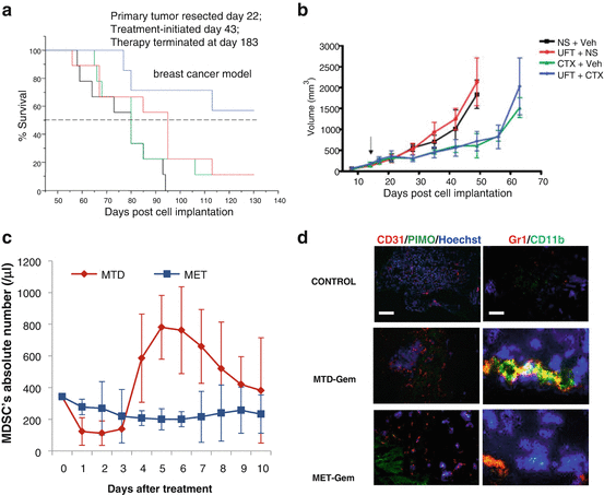 Development of Orthotopic and Spontaneous Metastatic Human Tumor ...