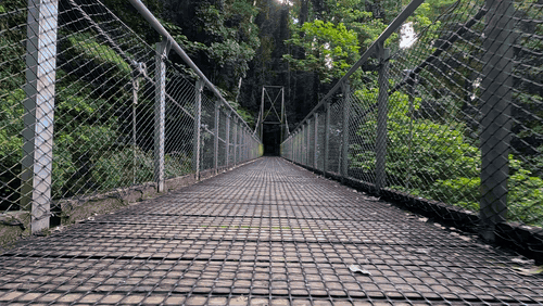 Bellingen Gourmet Adventure