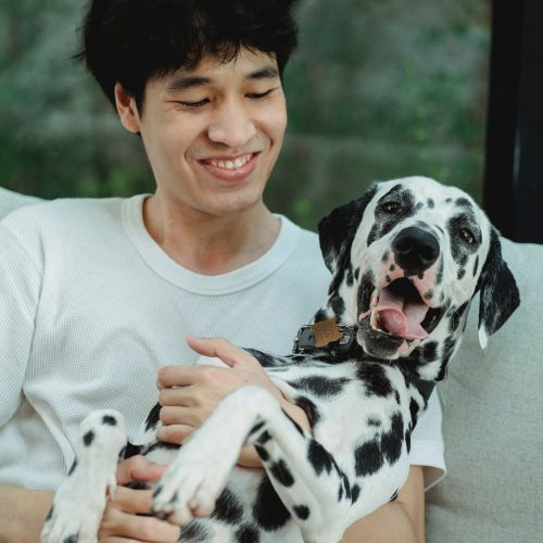 Smiling man holding a happy Dalmatian dog