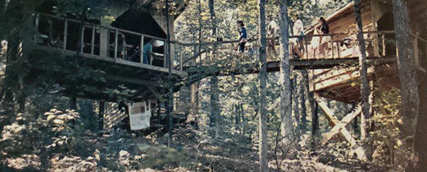 Elevated treetop cabins in woods.
