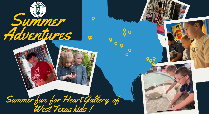  Finding Family Rnd 2 Blog