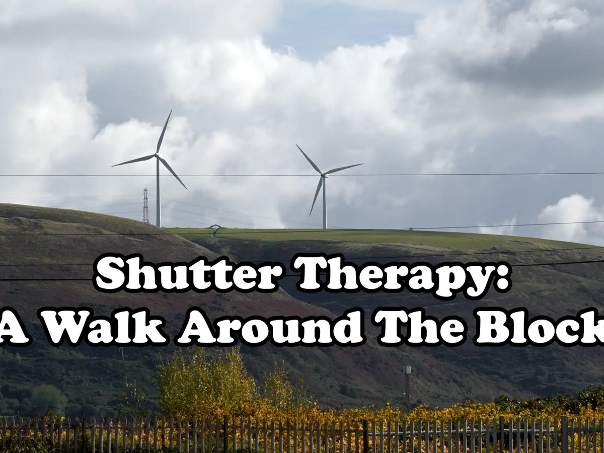 Shutter Therapy: A Walk Around The Block