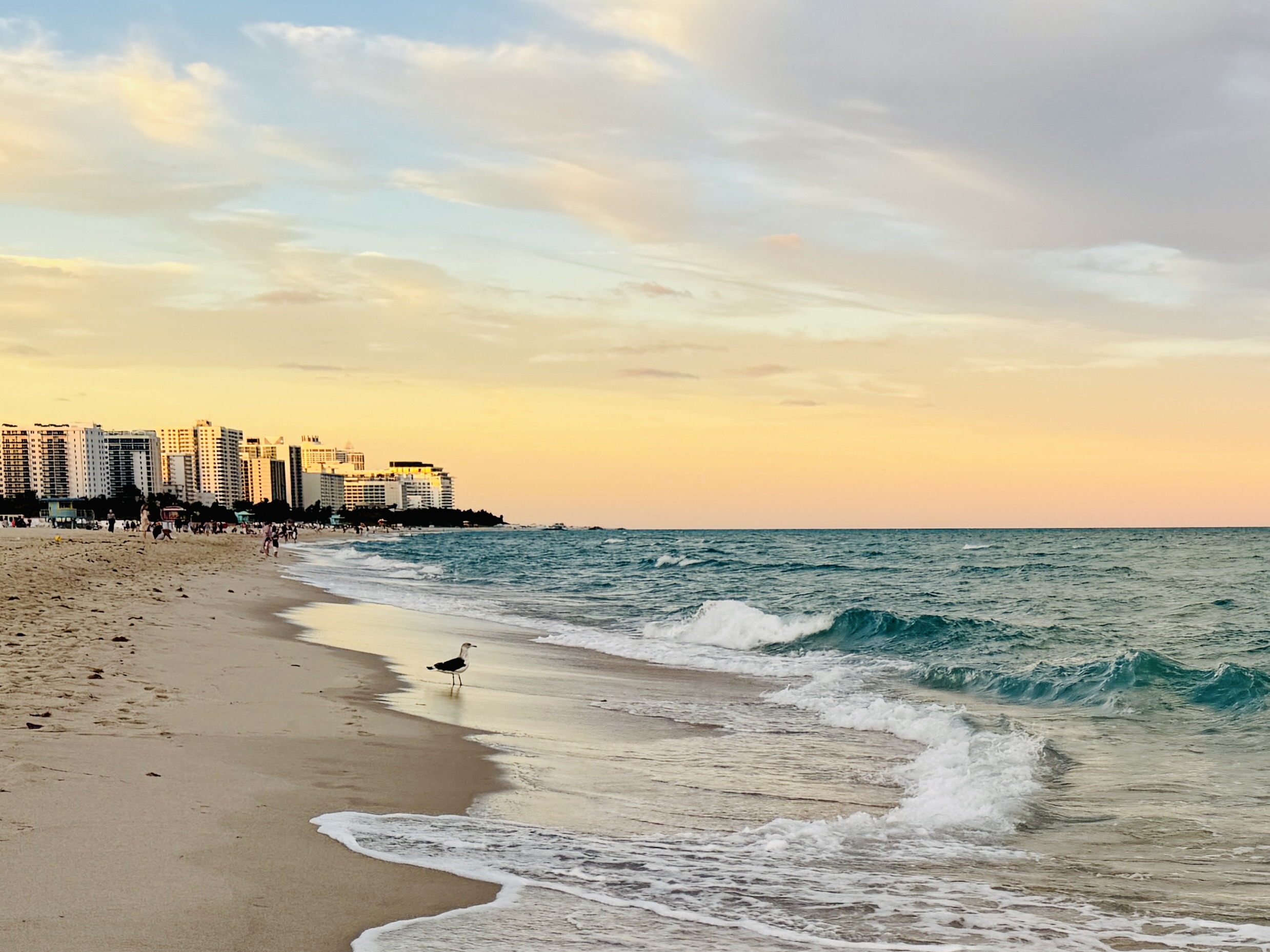 South Beach at dusk