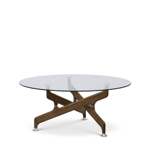 Bone Coffee Table