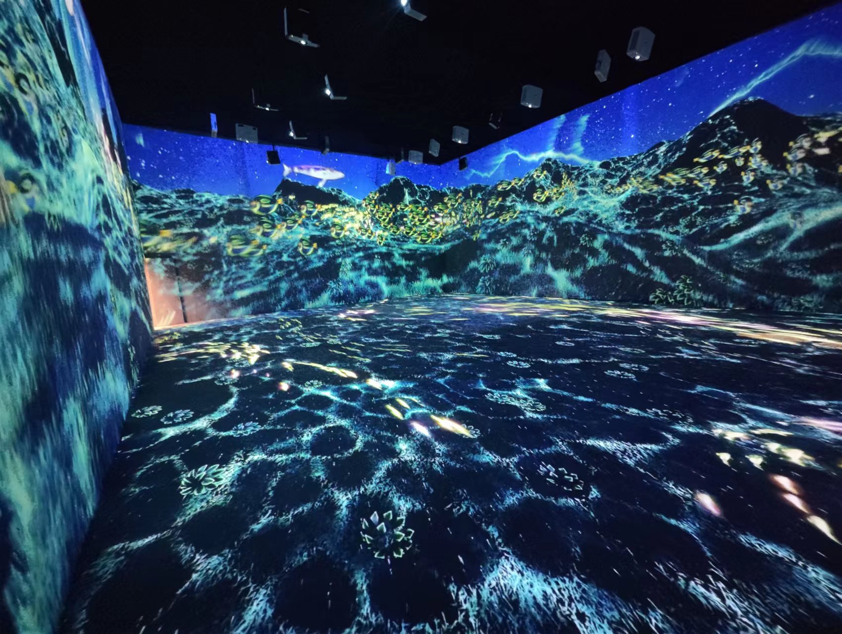 Immersive And Interactive Spaces Interactive Projector Prices Immersive Projection 28 