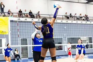 Volleyball Training Programs